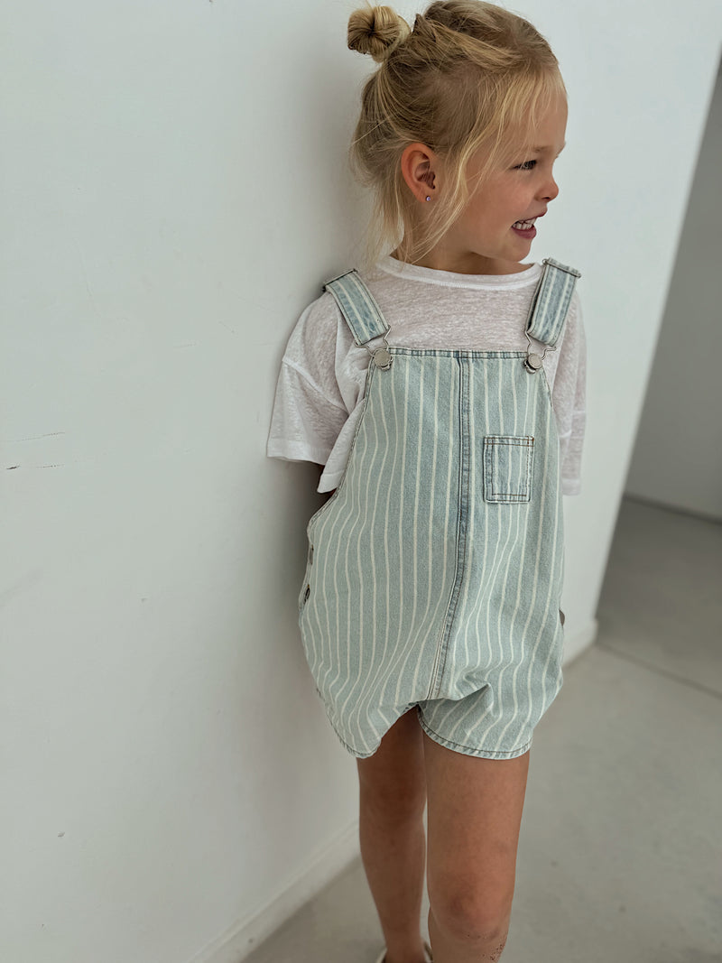 Berry Overalls