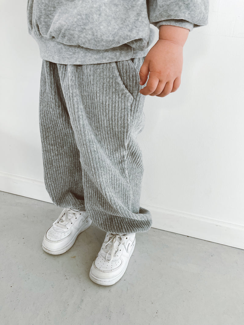 Pantalon jogger velvet gris