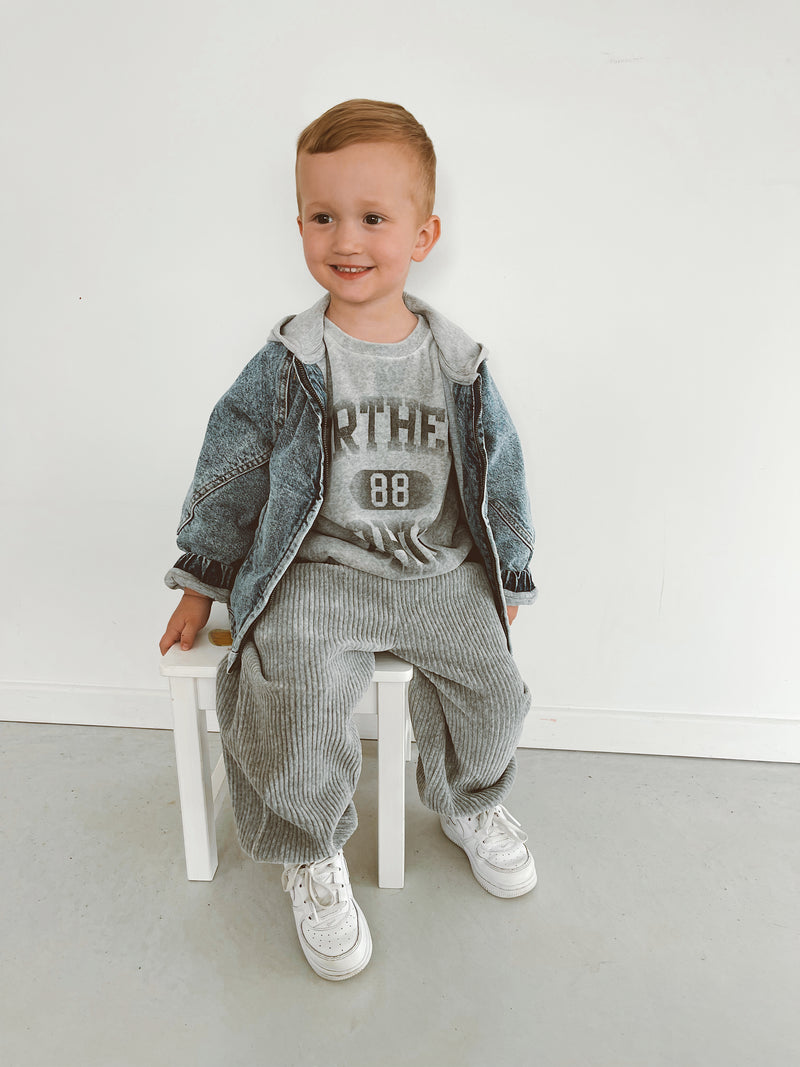 Pantalon jogger velvet gris