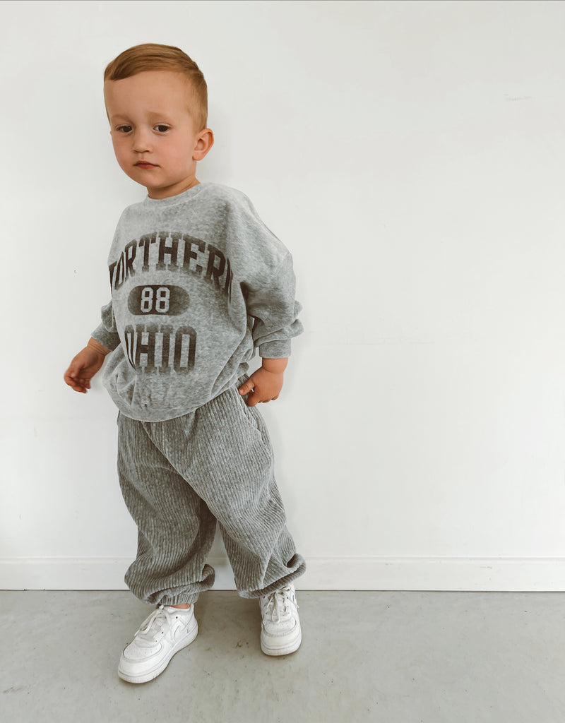 Pantalon jogger velvet gris